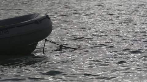 Boat moored in the sea Stock Footage 77809818