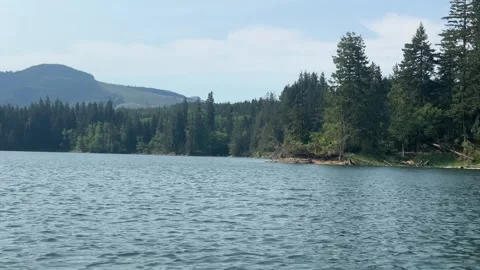 The boat moves quickly on the lake view mountains forests water Stock Footage 241544135
