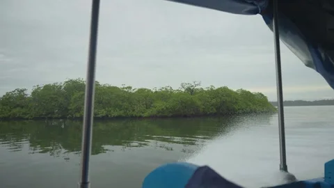 Boat moves through calm river water Stock Footage 345996227