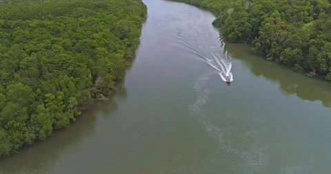The boat moves through the mangroves on the river 스톡 동영상 102477323