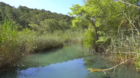 Boat moves through a reed lined canal - Waterway Background and Forward Texture Stock Footage 340011262