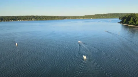 Boat moving forward on calm blue water with distant green tree coast Stock Footage 155724913