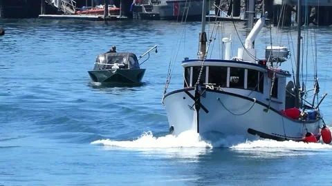 Boat Moving in Harbor 스톡 동영상 169884524