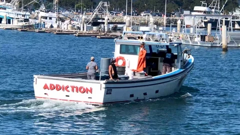 Boat named addiction Video stock 98205633