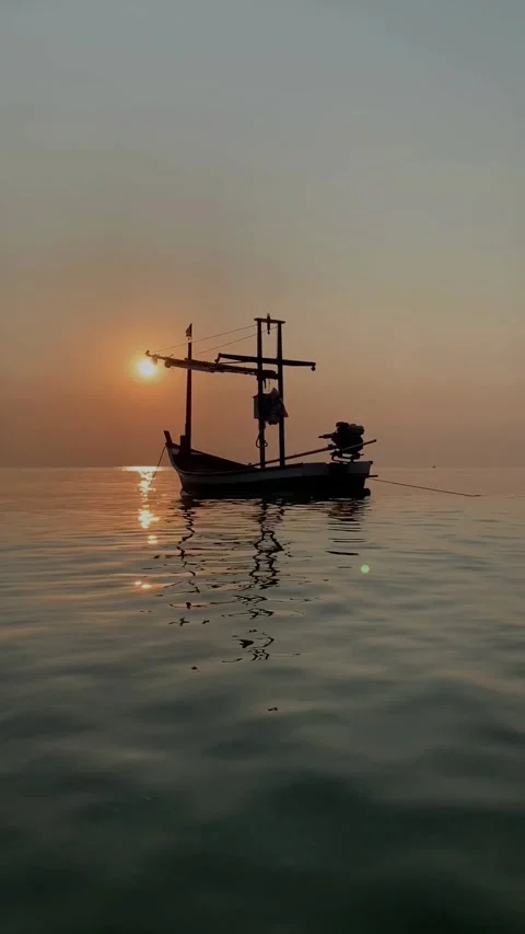 Boat Nature Sunset Stock Footage 254265077