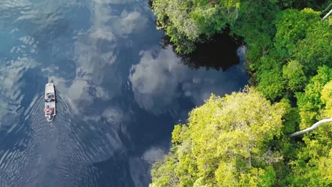 Boat navigating along the Amazon riverbank with cloud reflections Stock Footage 322127534