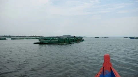 Boat navigating past floating fish farm cages on lake Stock-Footage 343995204