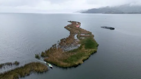 Boat Navigating Through Cocha Lagoon's Marshy Path Stock-Footage 330983239