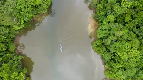 Boat navigating through lush green river in Buenaventura Video stock 330278335