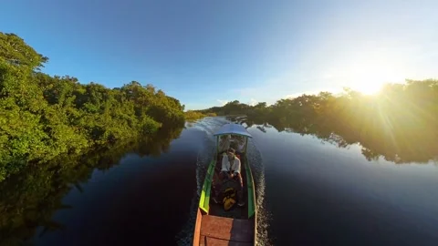 Boat navigating through the rivers of Pampas del Yacuma in Bolivia during sunset Stock-Footage 347960856