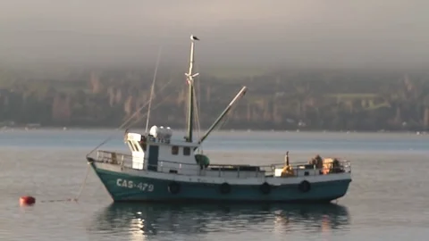 Boat on ocean Stock Footage 77047238