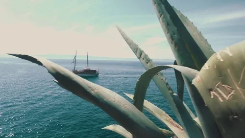 Boat in the ocean Stock Footage 79623726