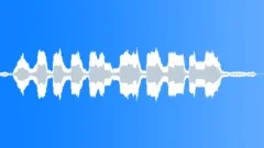 BOAT, OUTBOARD Sound Effect