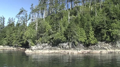 From the boat, Pacific Rim Canada Video stock 1098508