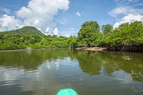 Boat paddling in the river Stock Footage 51144685