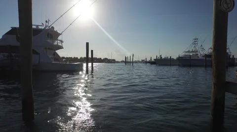 Boat party floatopia 4 Stock Footage 48118144