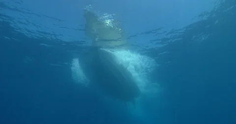 Boat passes overhead trolling teaser and lures, clean open ocean sunrays, Stock Footage 61929016