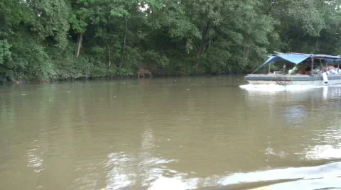 Boat passing amazon Stock Footage 157177