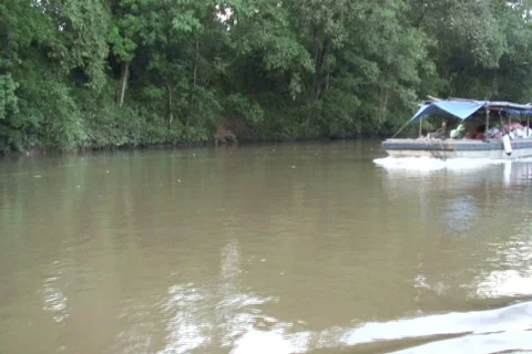 Boat passing amazon SD NTSC Stock Footage 387912