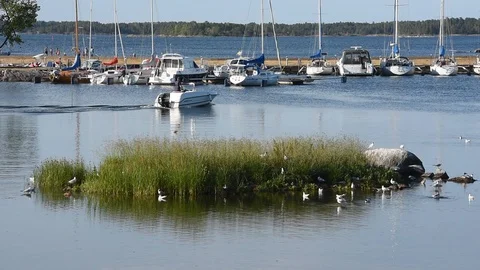 Boat passing bird isle Stock Footage 92115779