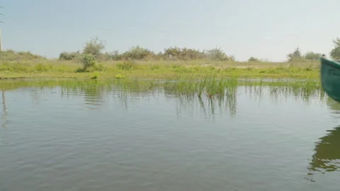 Boat passing by in Danube Delta Stock Footage 151250107