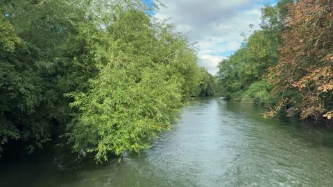 Boat passing leafy green trees on banks of River Avon, England in summer Stock Footage 323871136