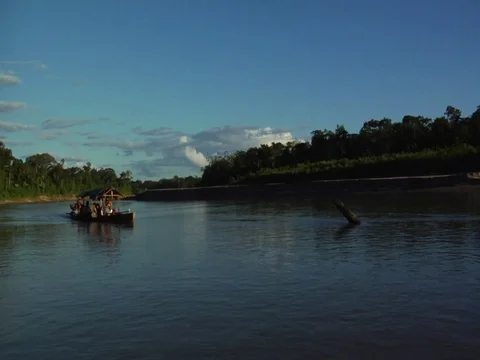 Boat Passing By On River in Amazon Jungle Rainforest at Twilight Video stock 112943123