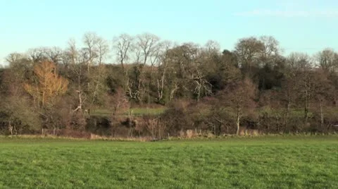 Boat passing on the river Video stock 10607459