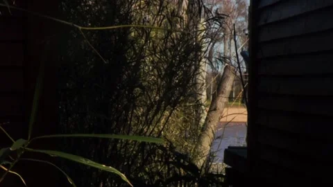 Boat passing by in the river at forest Stock Footage 196447452