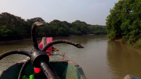 Boat Perspective Shot Moving in Forest Water Stream Video stock 86197481