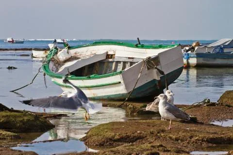 Boat Stock Photos