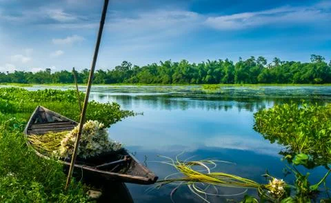 The boat Stock Photos