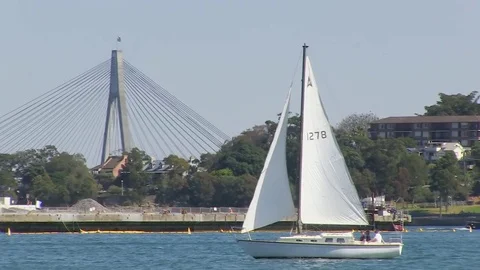 Boat on pier and trees Stock Footage 84809535