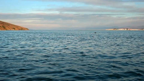 A boat point of view over the water. Stock Footage 88367479