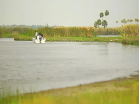 Boat On Pond 库存影片 8694062