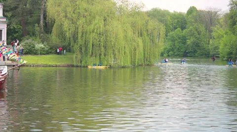 Boat On Pond Stock Footage 37825432
