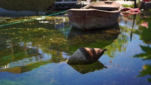 Boat in the pond Stock Footage 92852901
