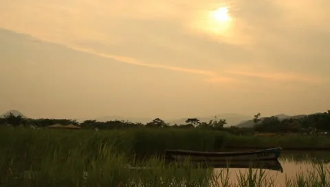 Boat on pond with grass at sunset Stock Footage 11144988