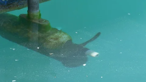 Boat Propeller under Water Stock Footage 108969198