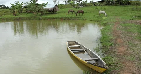Boat on Putumayo river 스톡 동영상 140312106