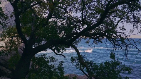 The boat quickly swims and jumps on the waves in slowmo Stock Footage 103407002