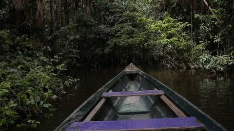 Boat in the rainforest in Peru Video stock 103044506