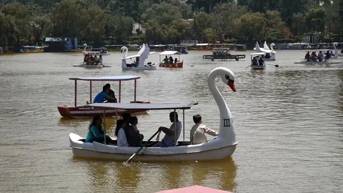 Boat ride Stock-Footage 87694630