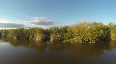 Boat ride on river Stock Footage 40905780