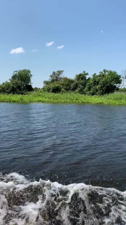 Boat ride on the Sangkar River Stock-Footage 341171157