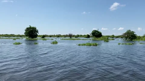 Boat ride on the Sangkar River Video stock 341171160