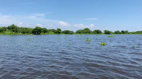Boat ride on the Sangkar River Video stock 341171180