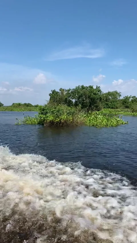 Boat ride on the Sangkar River Stock-Footage 341171184