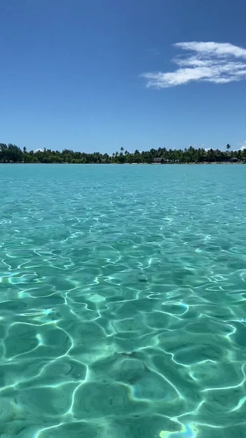 Boat ride on Tahaa lagoon 库存影片 344477655