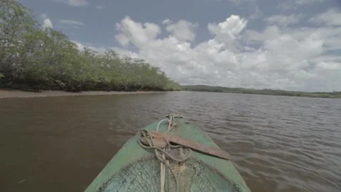 Boat ride under the tree trunks 스톡 동영상 147869581